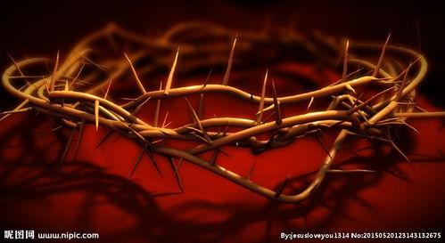 耶稣的荆棘冠冕,耶稣的苦难与信仰之光