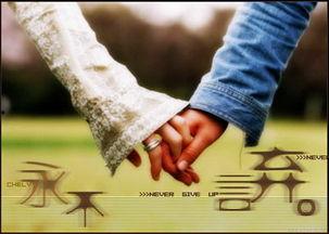 永不言弃,逆境中的坚韧与奋斗