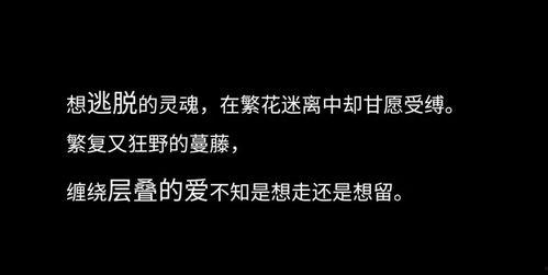 心动倒计时：等你卸任